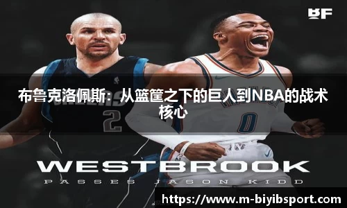 必一运动b体育官网